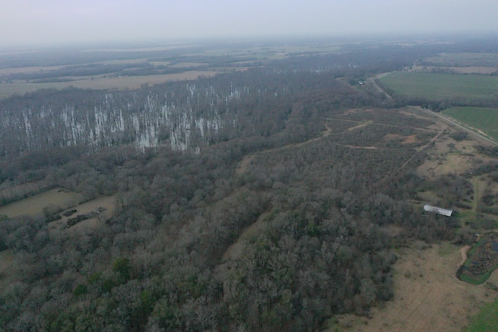 screen_1ecd2f56fa6781f6_1767834639717