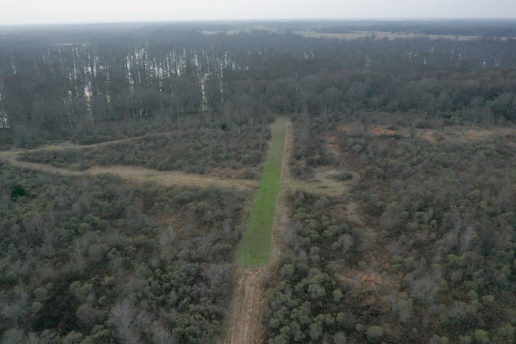 screen_44cc1dd1f920b662_1767834310734