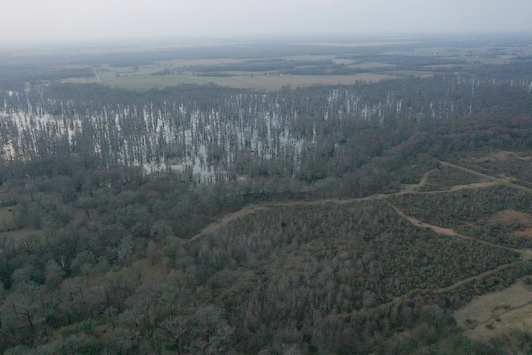 screen_58d350816fce8c98_1767834680129