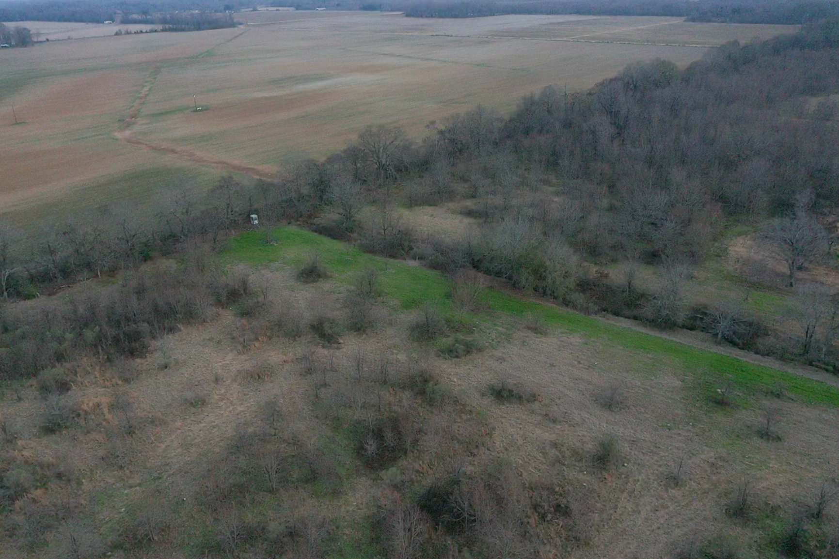 screen_639f7a6995e6423e_1767834482336