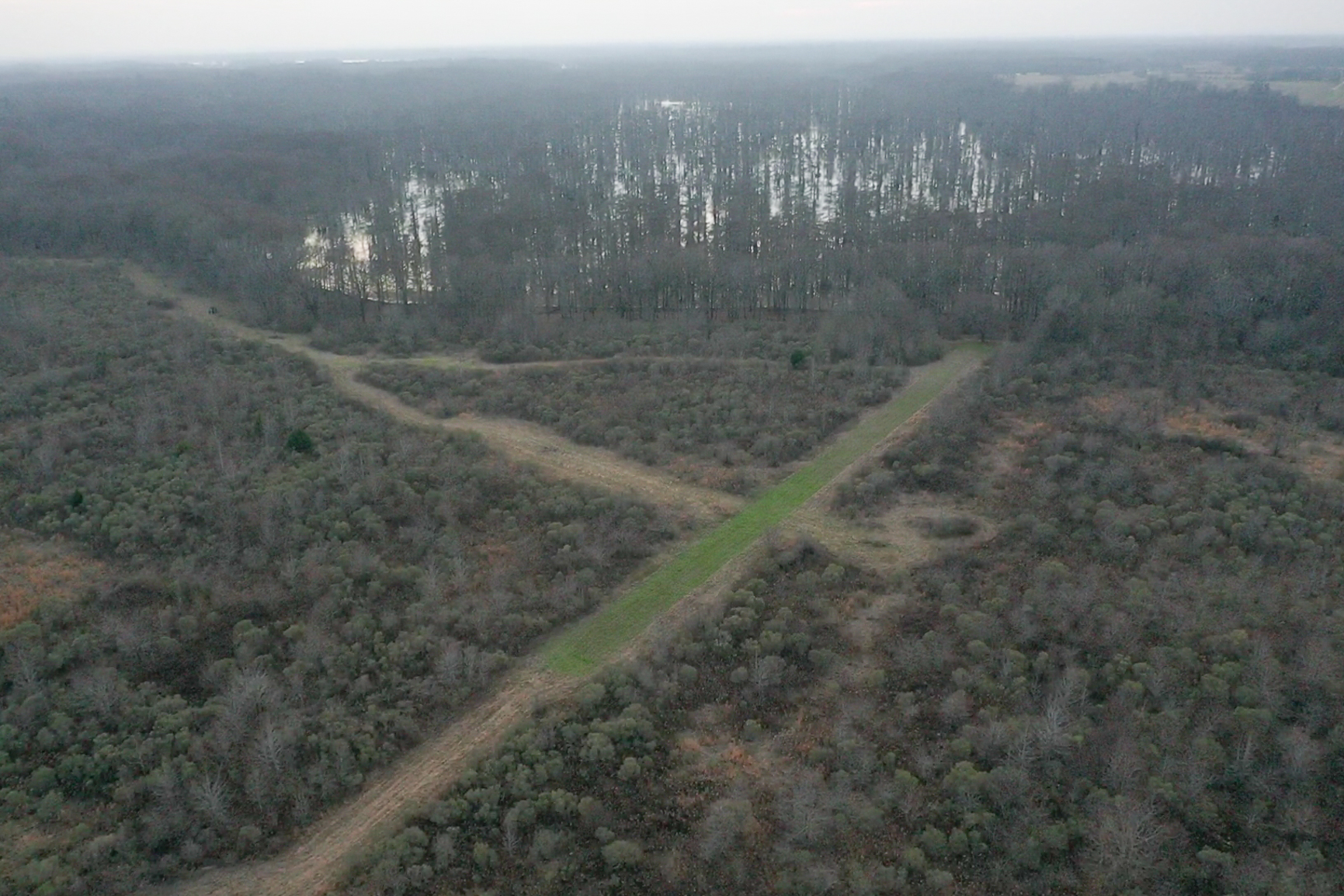 screen_6ef3b849b8f3724d_1767834323087