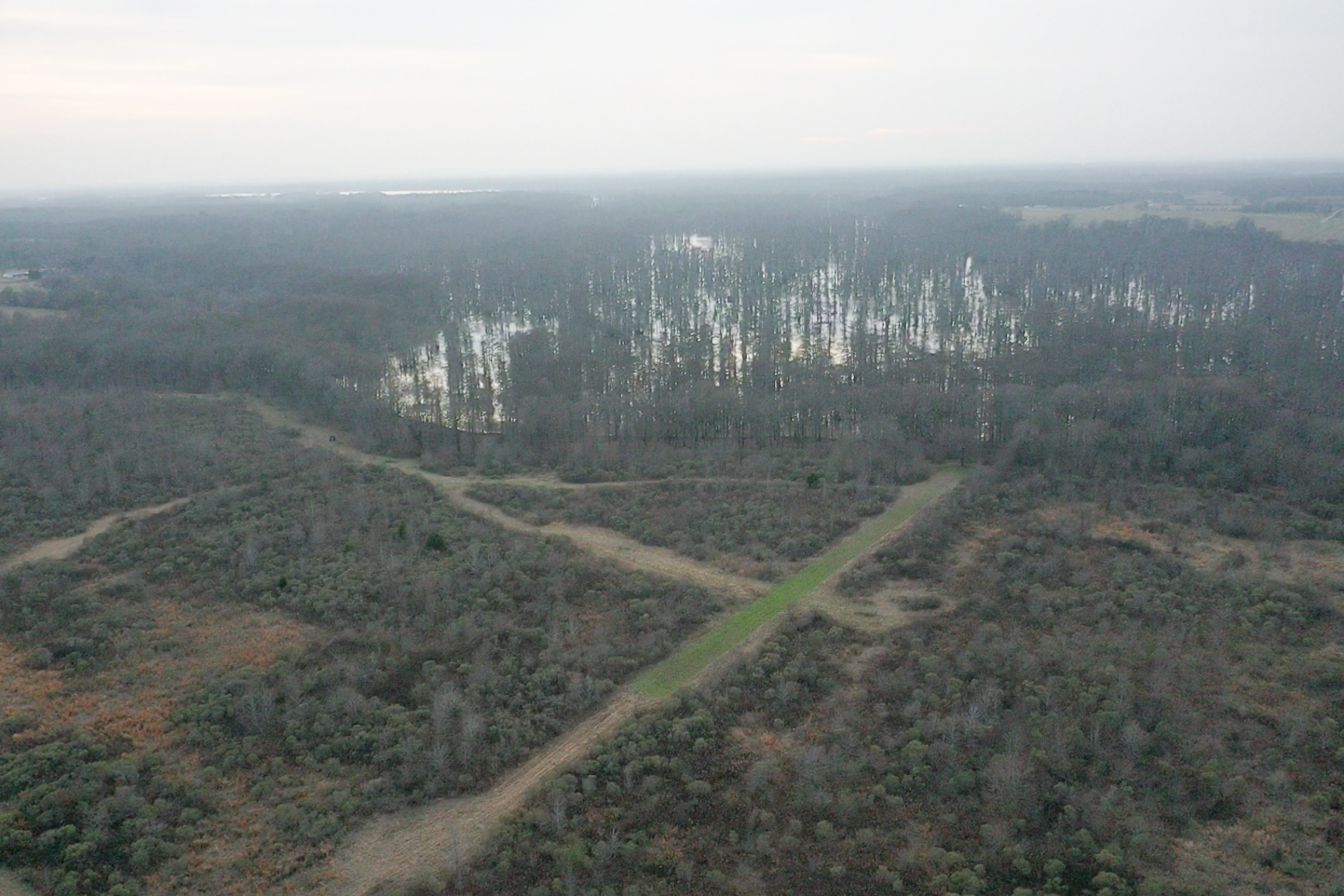 screen_8d4099a586df0c8b_1767834366730