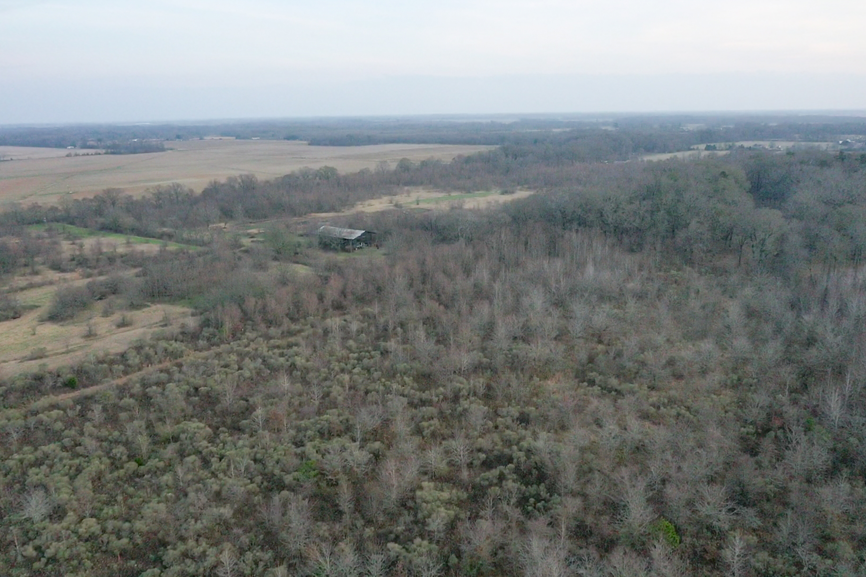 screen_9f77637cff98e48d_1767834279330