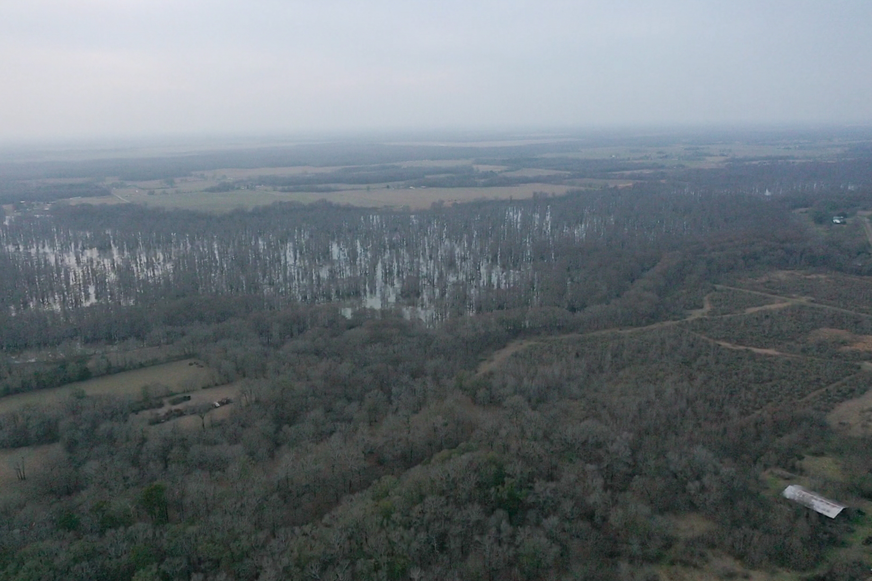 screen_9ff7a4ee657dcb0f_1767834656923