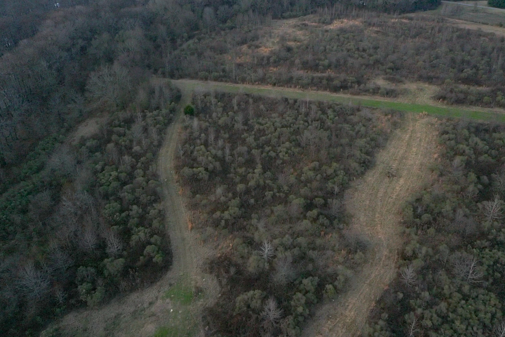 screen_fe9f72c4d1ff29f7_1767834286444