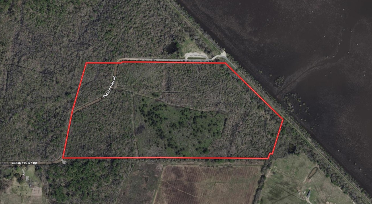 Screenshot 2026-02-18 104747