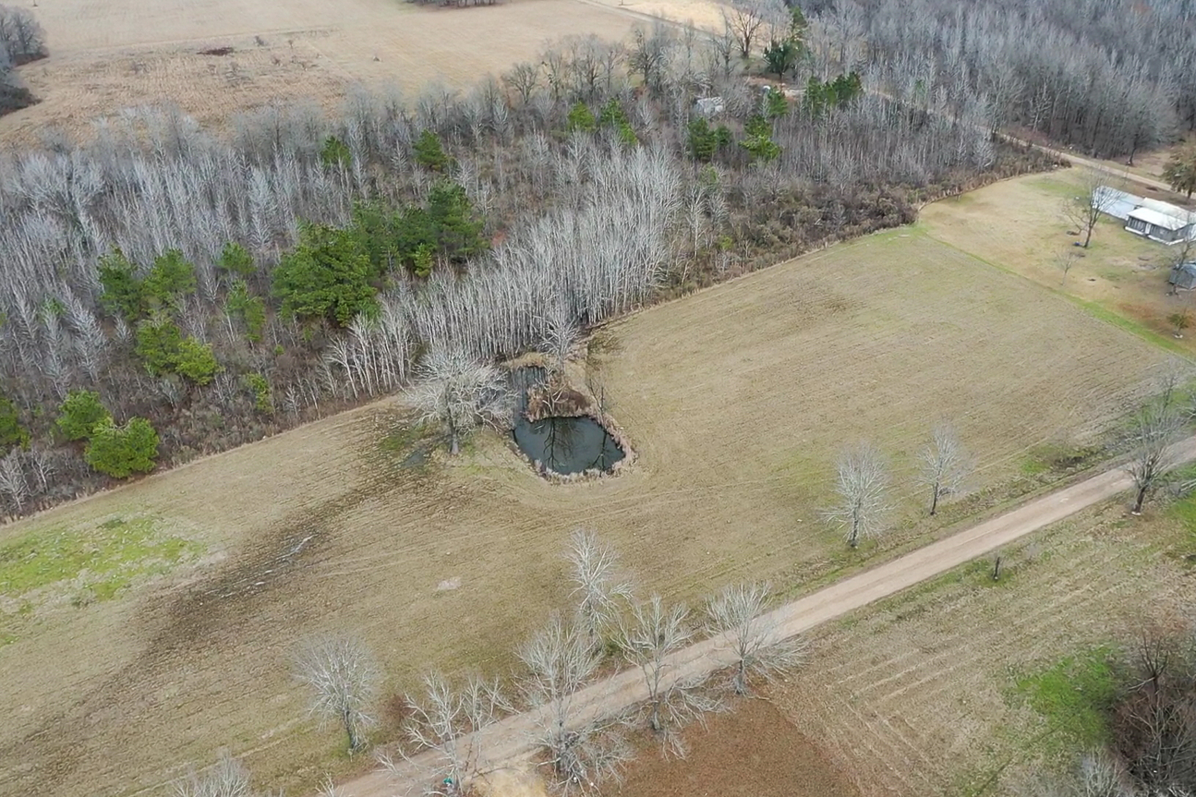 screen_eec67d9663ed8d9d_1770755855568