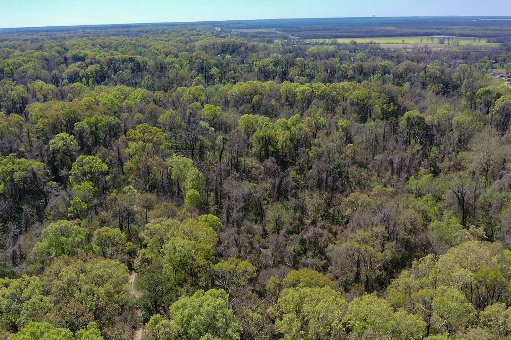 screen_5f788b7de2eaa32a_1773342535798