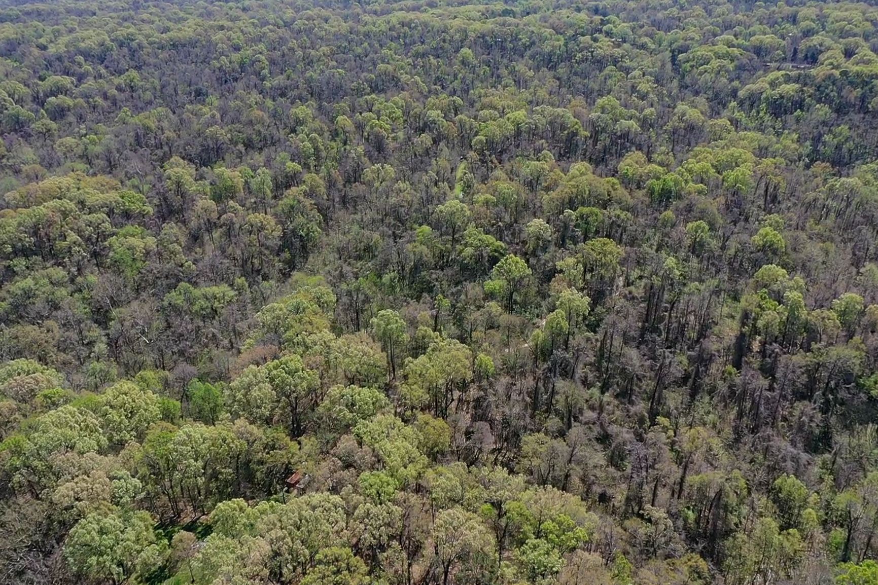 screen_78362253e7ee9436_1773342744105