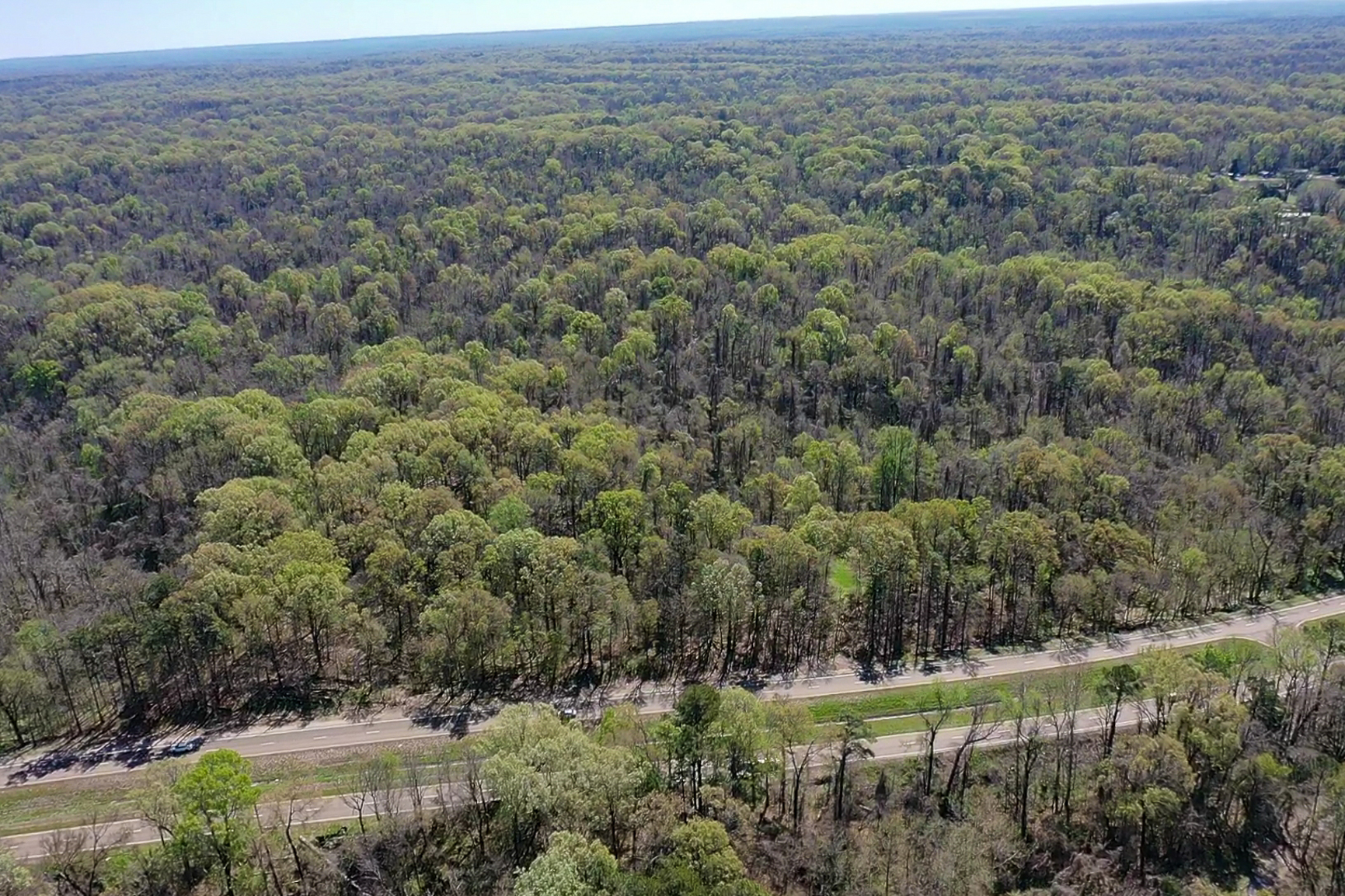 screen_7ff2350de60bbaf9_1773342764423