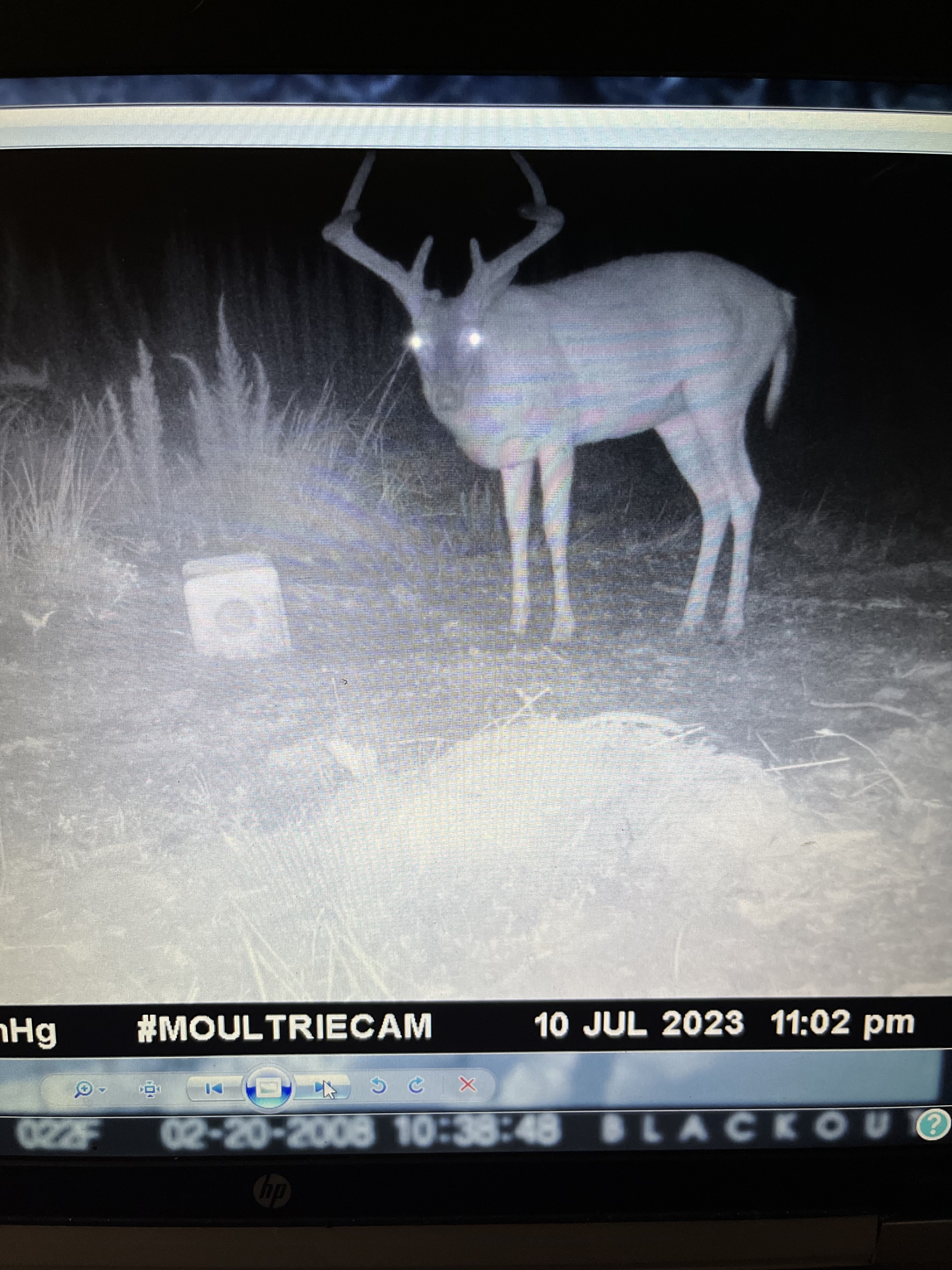 Trail Cam 13