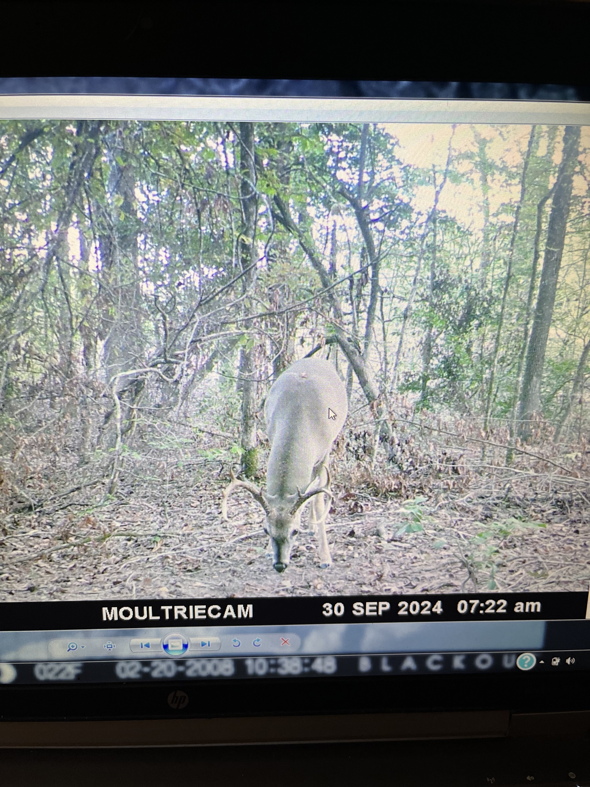 Trail Cam 17