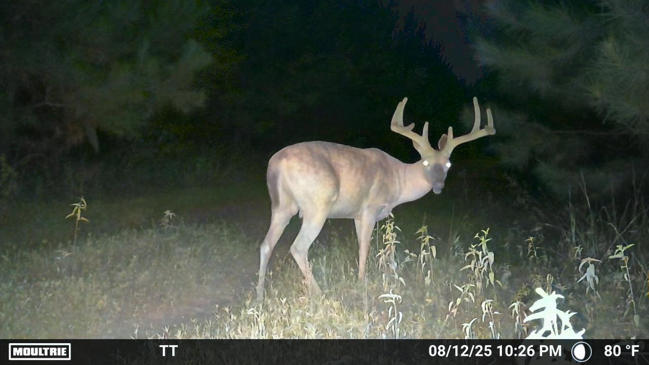 MOULTRIE DIGITAL CAMERA