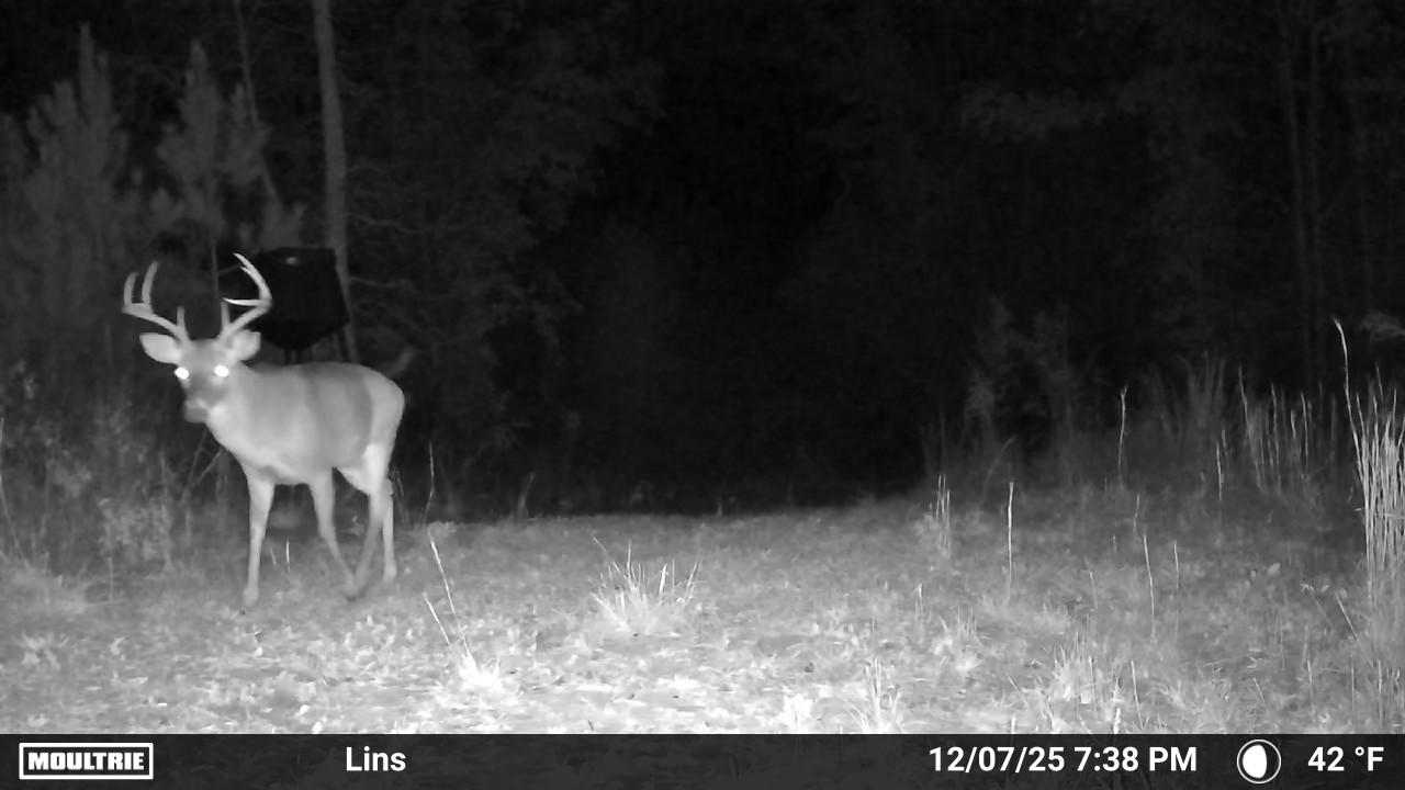 MOULTRIE DIGITAL CAMERA