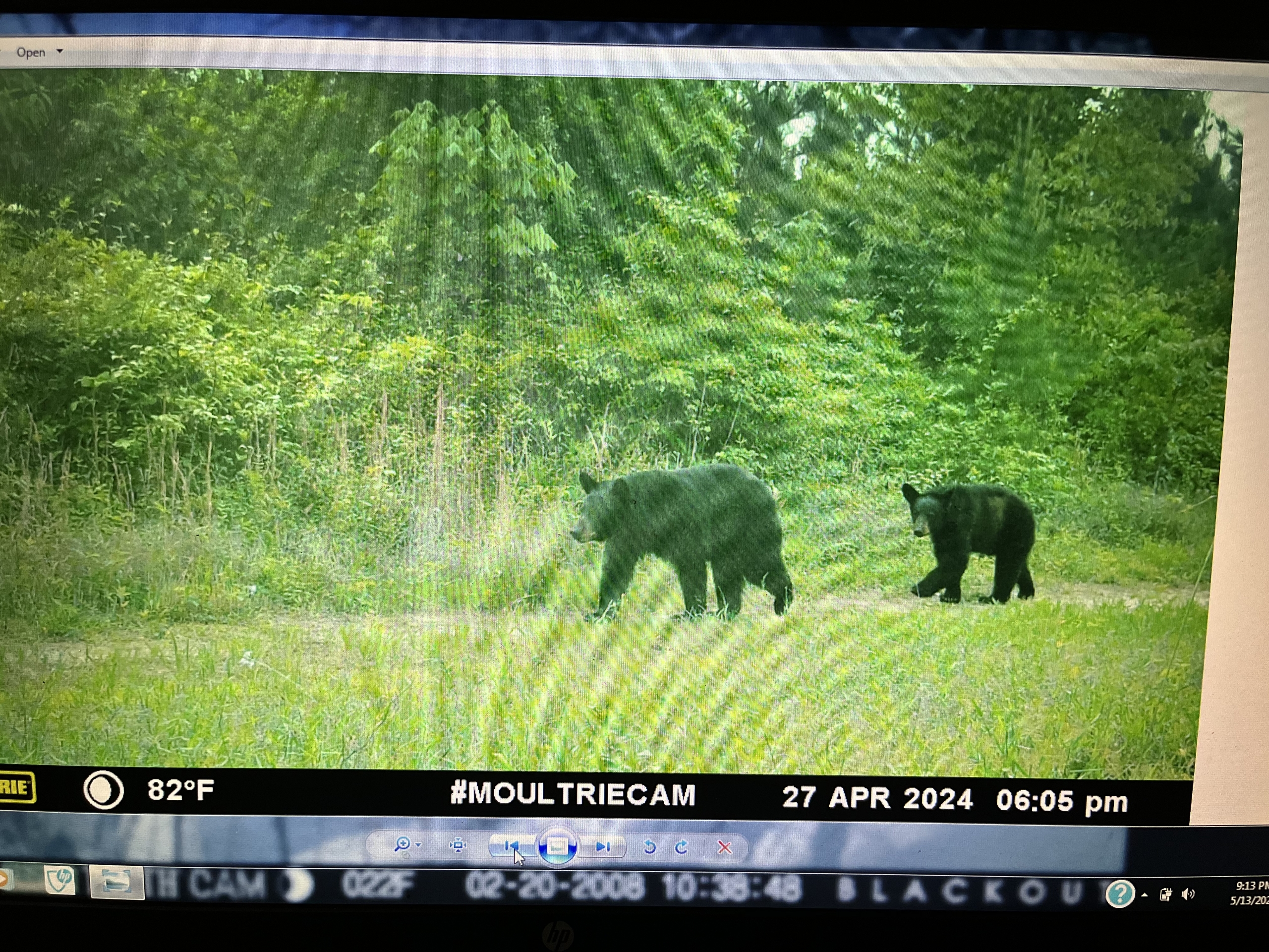 Trail Cam 20